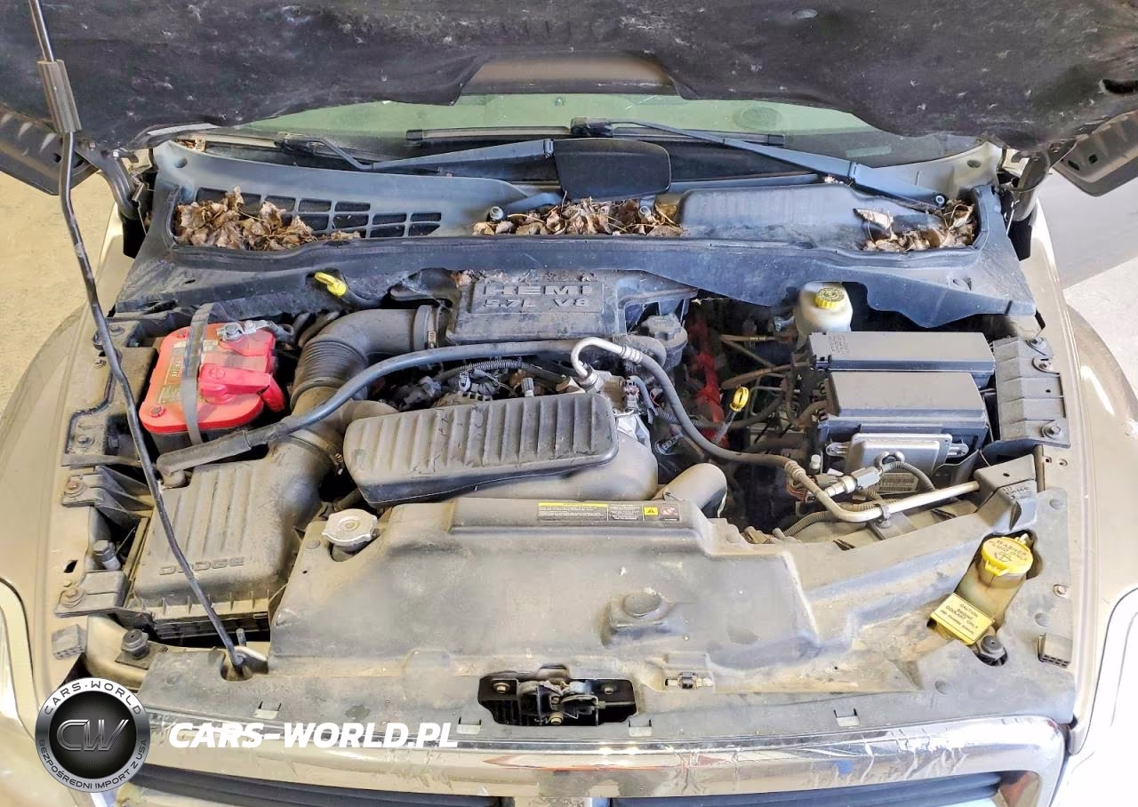 2006 Dodge Durango Limited VIN:1D8HB58236F132659 - 12