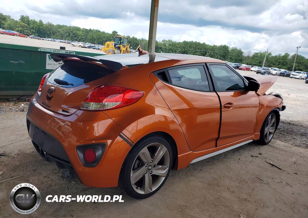 2013 Hyundai Veloster Turbo VIN:KMHTC6AE5DU151265 - 3