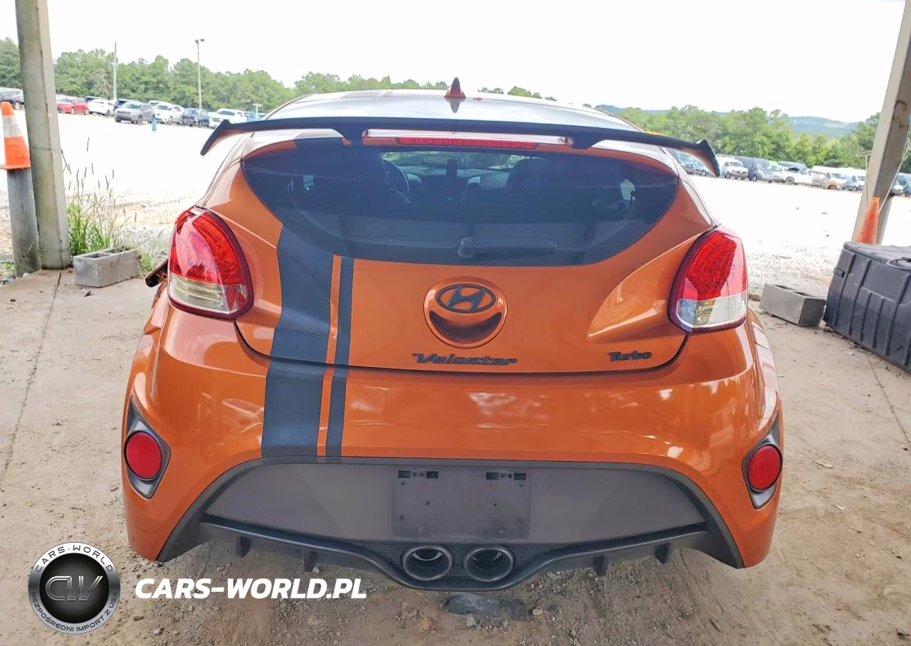 2013 Hyundai Veloster Turbo VIN:KMHTC6AE5DU151265 - 6