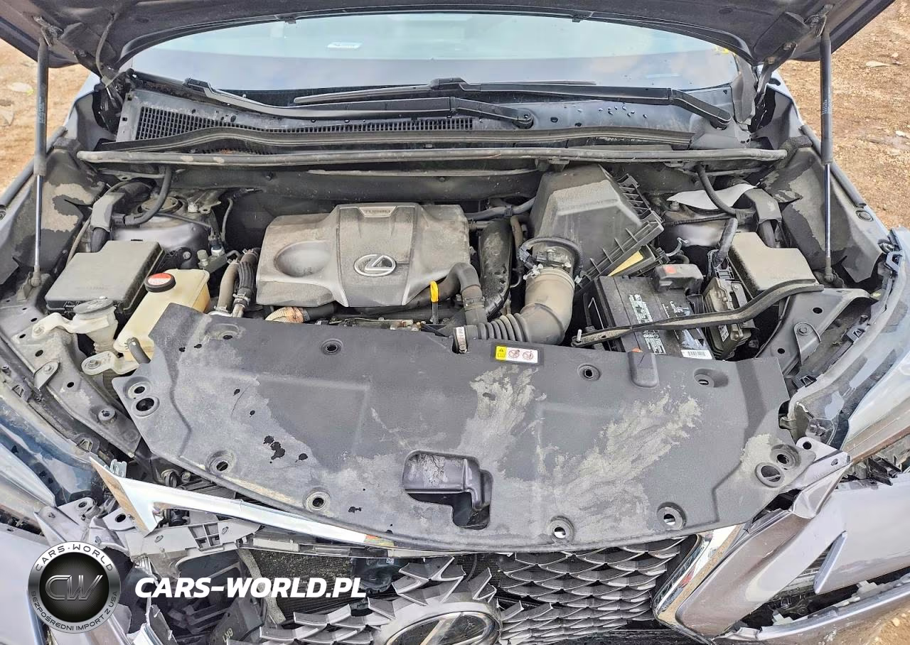 2016 Lexus Nx 200T F Sport VIN:JTJBARBZ3G2056189 - 11