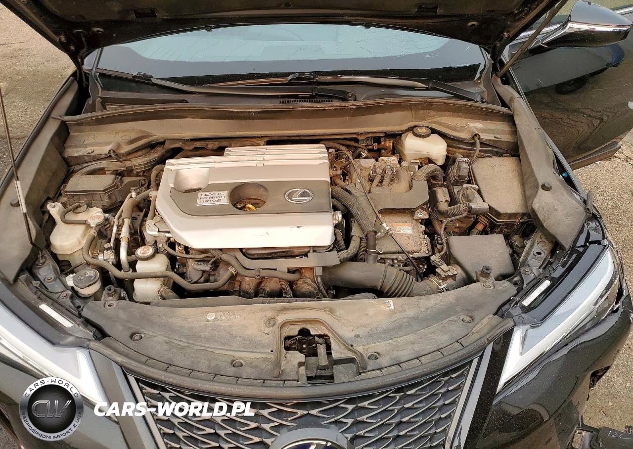2020 Lexus Ux 250H VIN:JTHR9JBH5L2032083 - 11