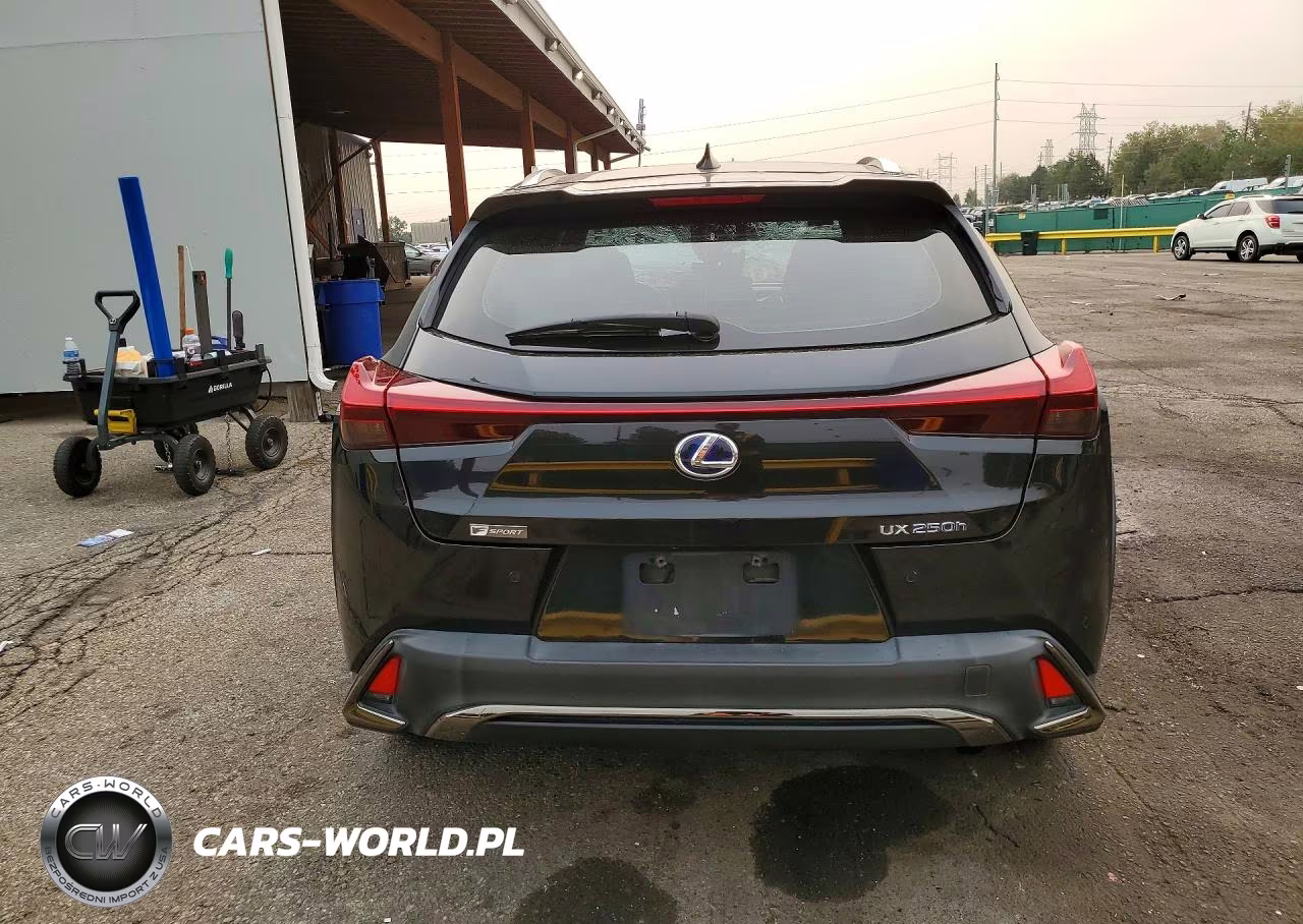 2020 Lexus Ux 250H VIN:JTHR9JBH5L2032083 - 6