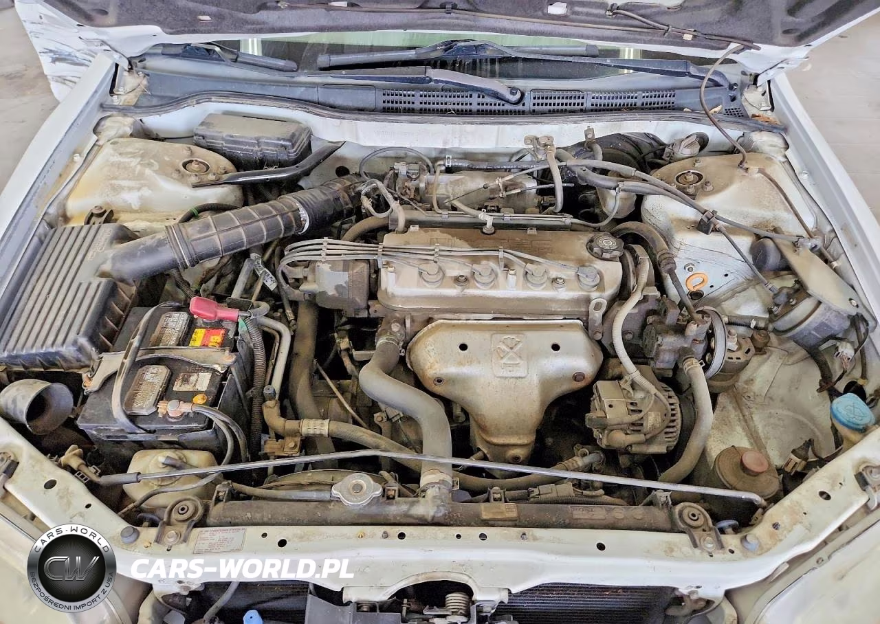 1998 Honda Accord Lx VIN:1HGCG5545WA057817 - 11