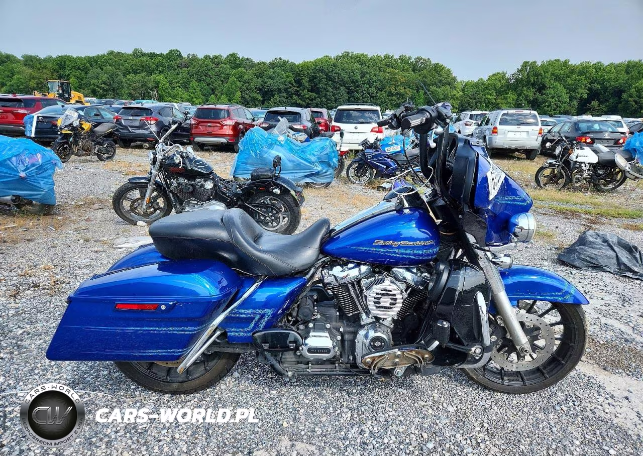 2019 Harley-Davidson Flhx