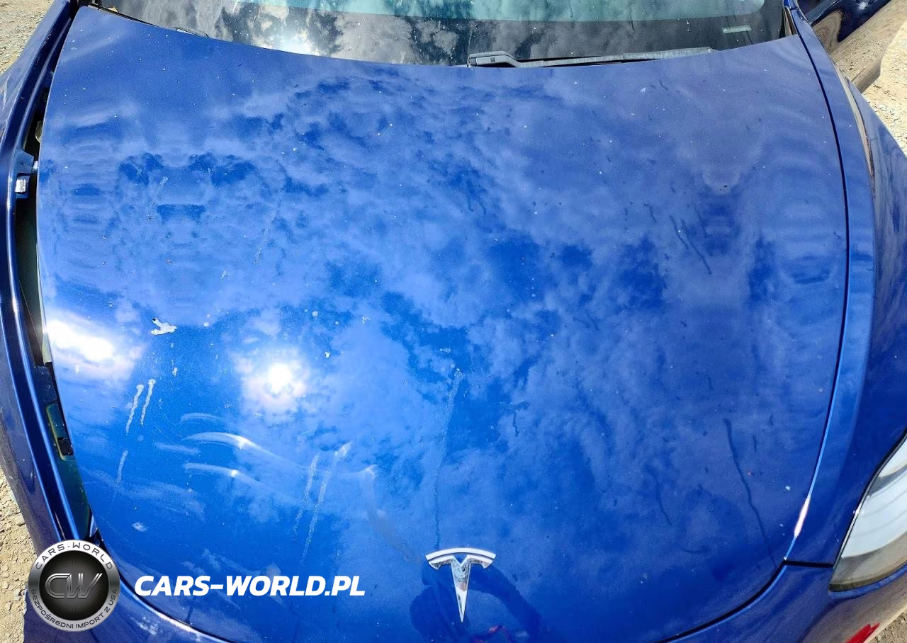 2020 Tesla Model 3 VIN:5YJ3E1EC3LF627370 - 11