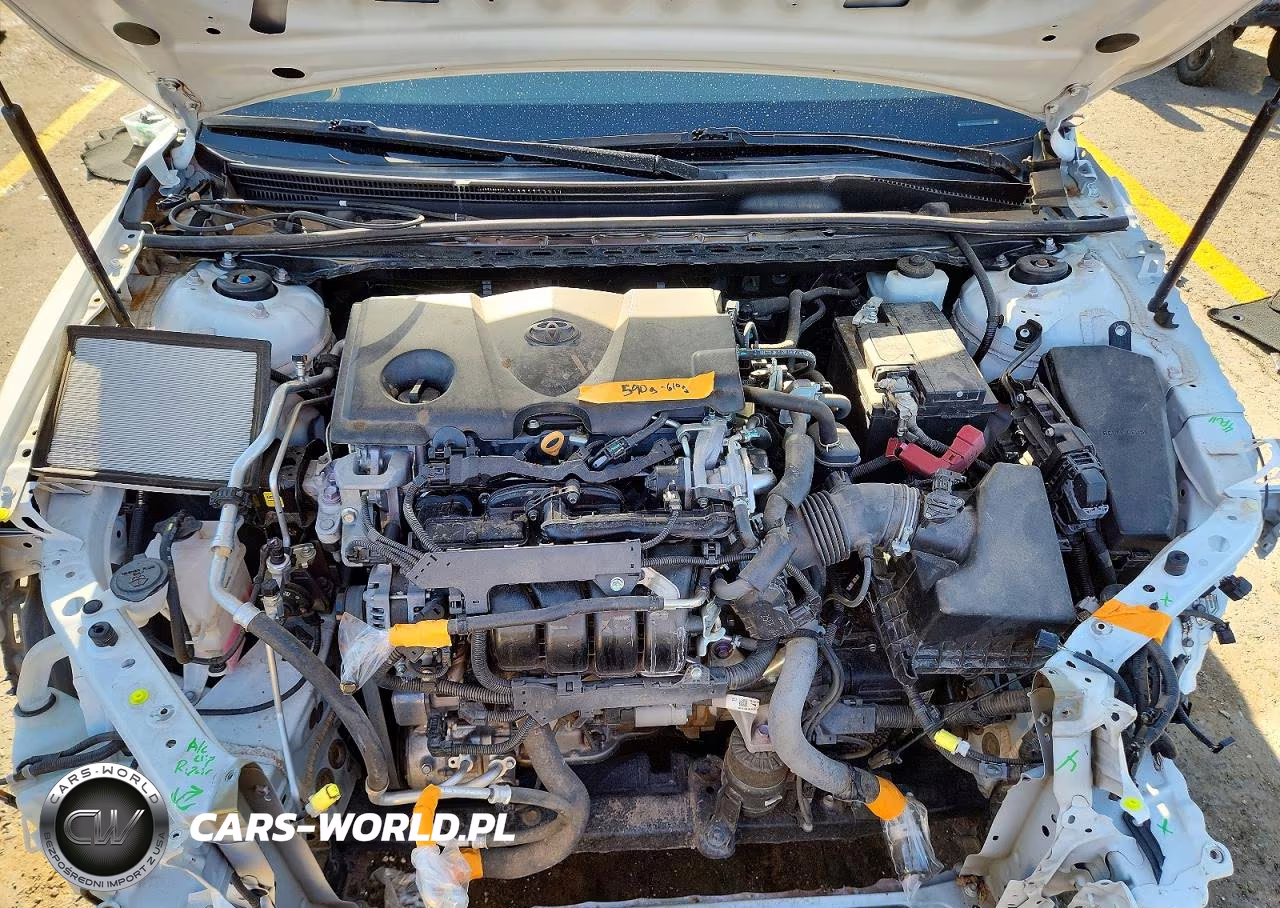 2019 Toyota Camry Le VIN:4T1B11HK3KU165680 - 11
