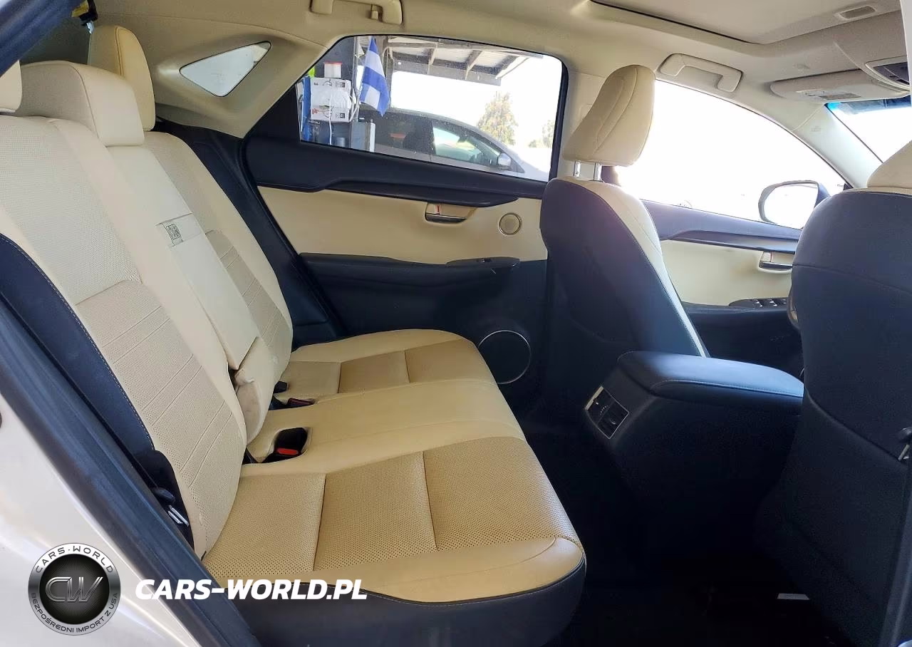 2018 Lexus Nx 300H VIN:JTJBJRBZ5J2094787 - 10