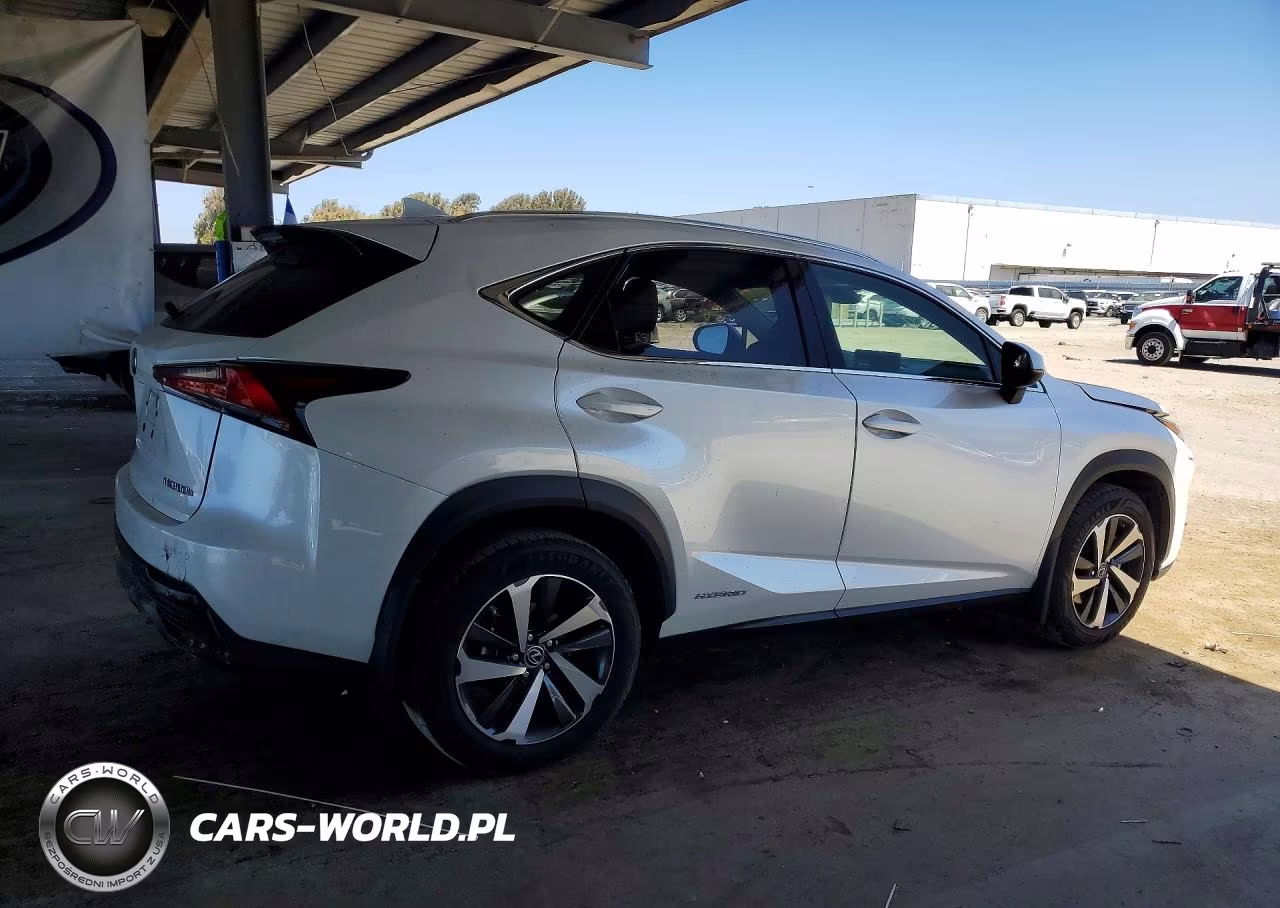 2018 Lexus Nx 300H VIN:JTJBJRBZ5J2094787 - 3