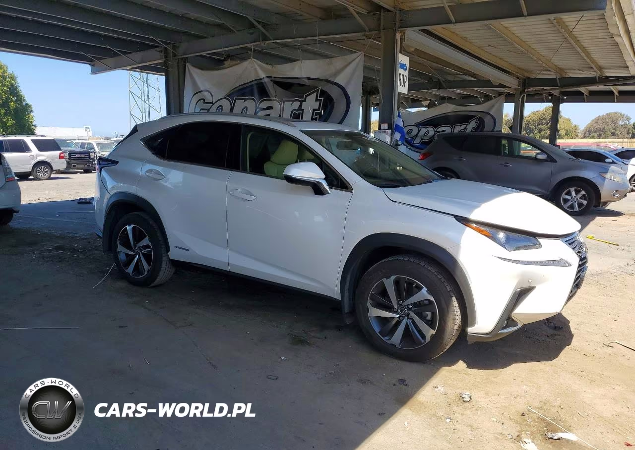 2018 Lexus Nx 300H VIN:JTJBJRBZ5J2094787 - 4