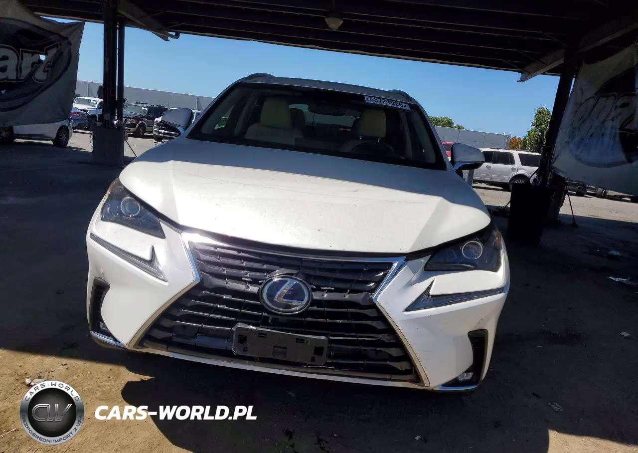 2018 Lexus Nx 300H VIN:JTJBJRBZ5J2094787 - 5