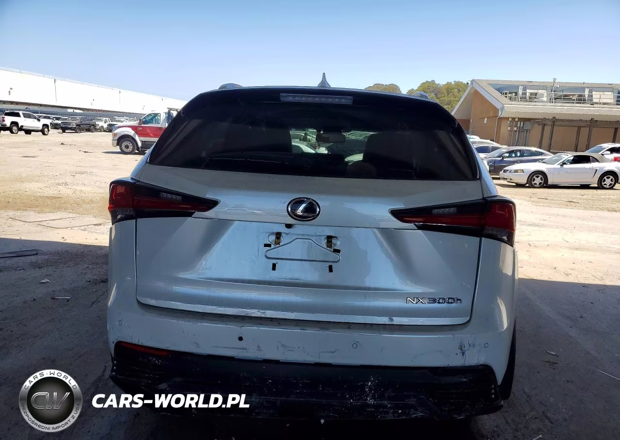 2018 Lexus Nx 300H VIN:JTJBJRBZ5J2094787 - 6