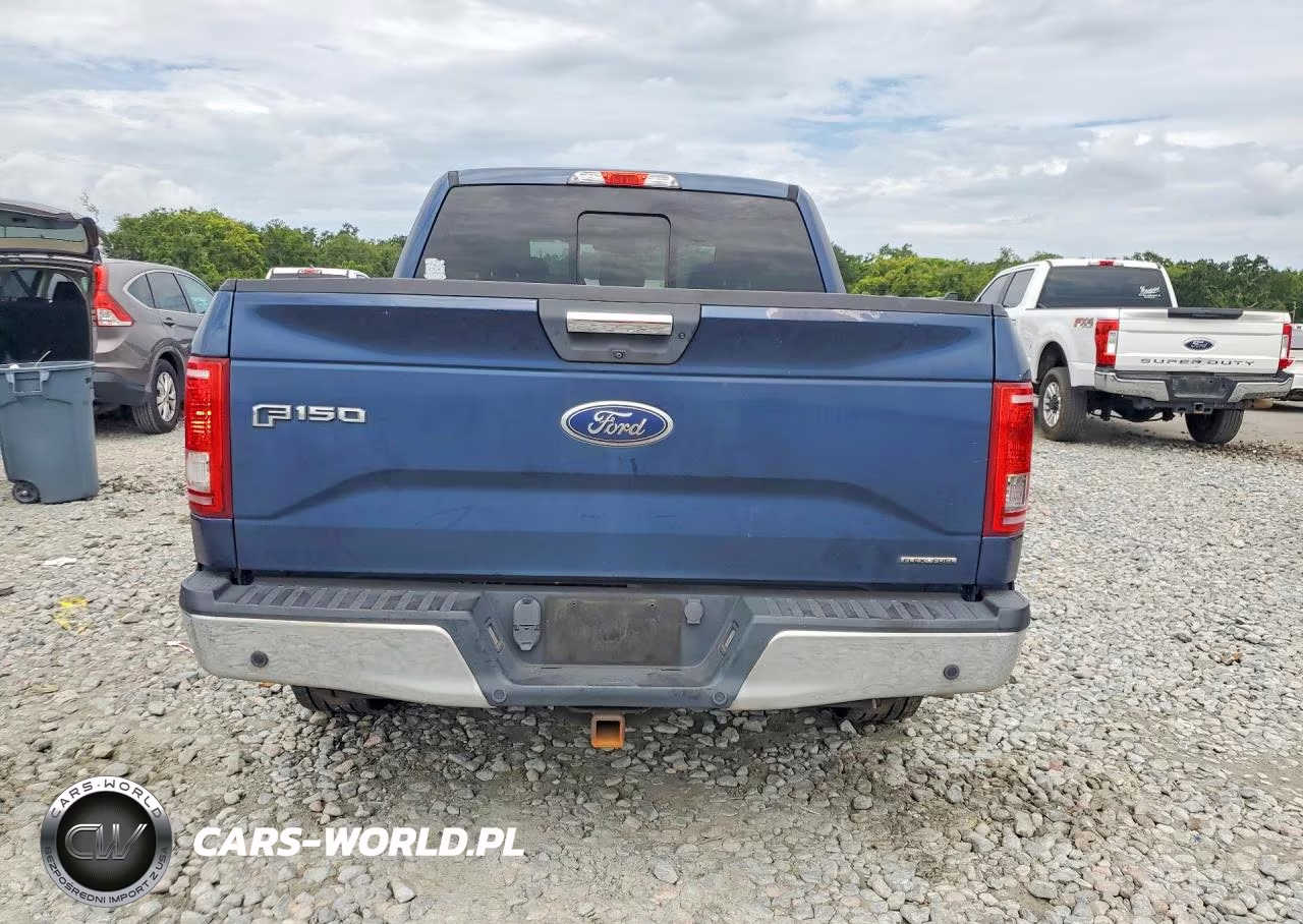 2016 Ford F150 Supercrew VIN:1FTEW1C8XGFA24115 - 6