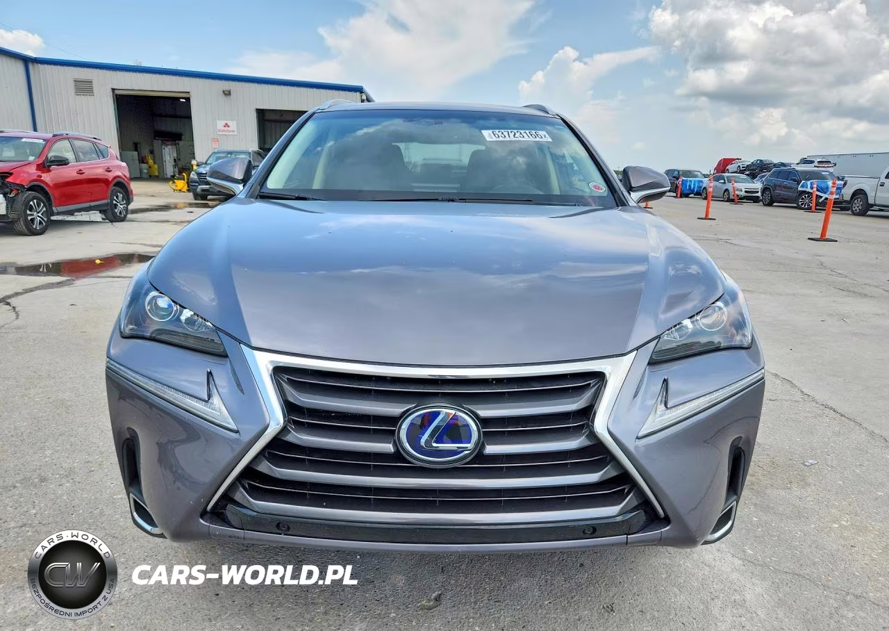 2017 Lexus Nx 300H VIN:JTJBJRBZ3H2052760 - 5