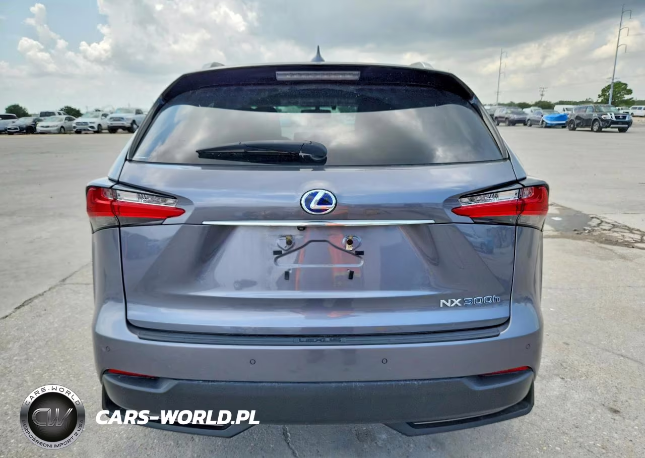 2017 Lexus Nx 300H VIN:JTJBJRBZ3H2052760 - 6