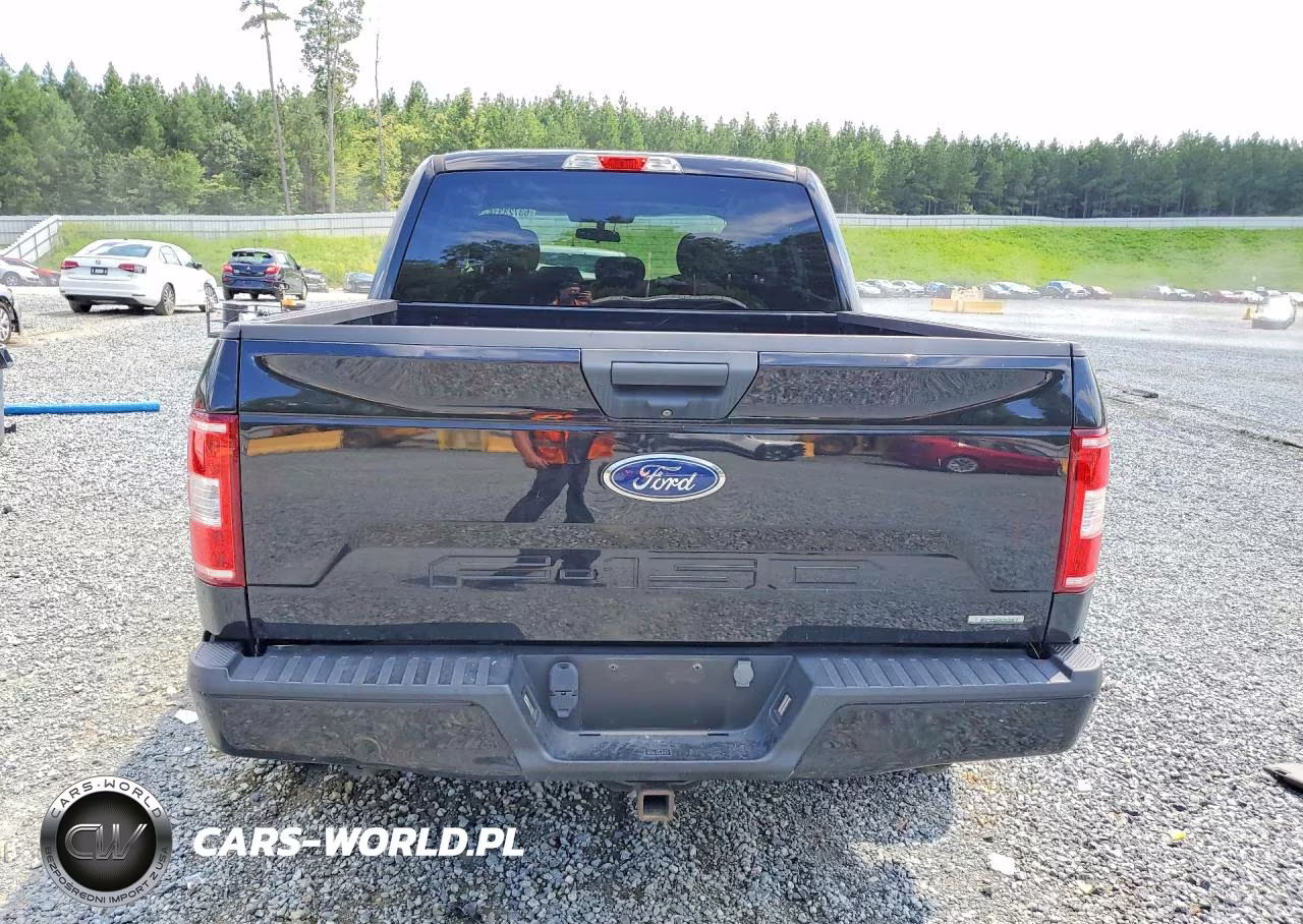 2019 Ford F150 Supercrew VIN:1FTEW1CP3KKC28052 - 6