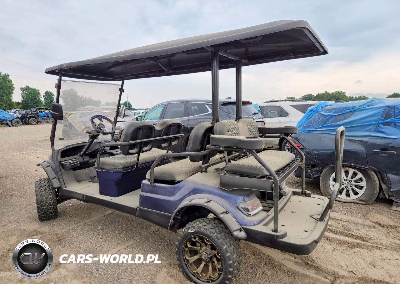 2018 Golf Cart Golf Cart VIN:LTA0022725 - 3