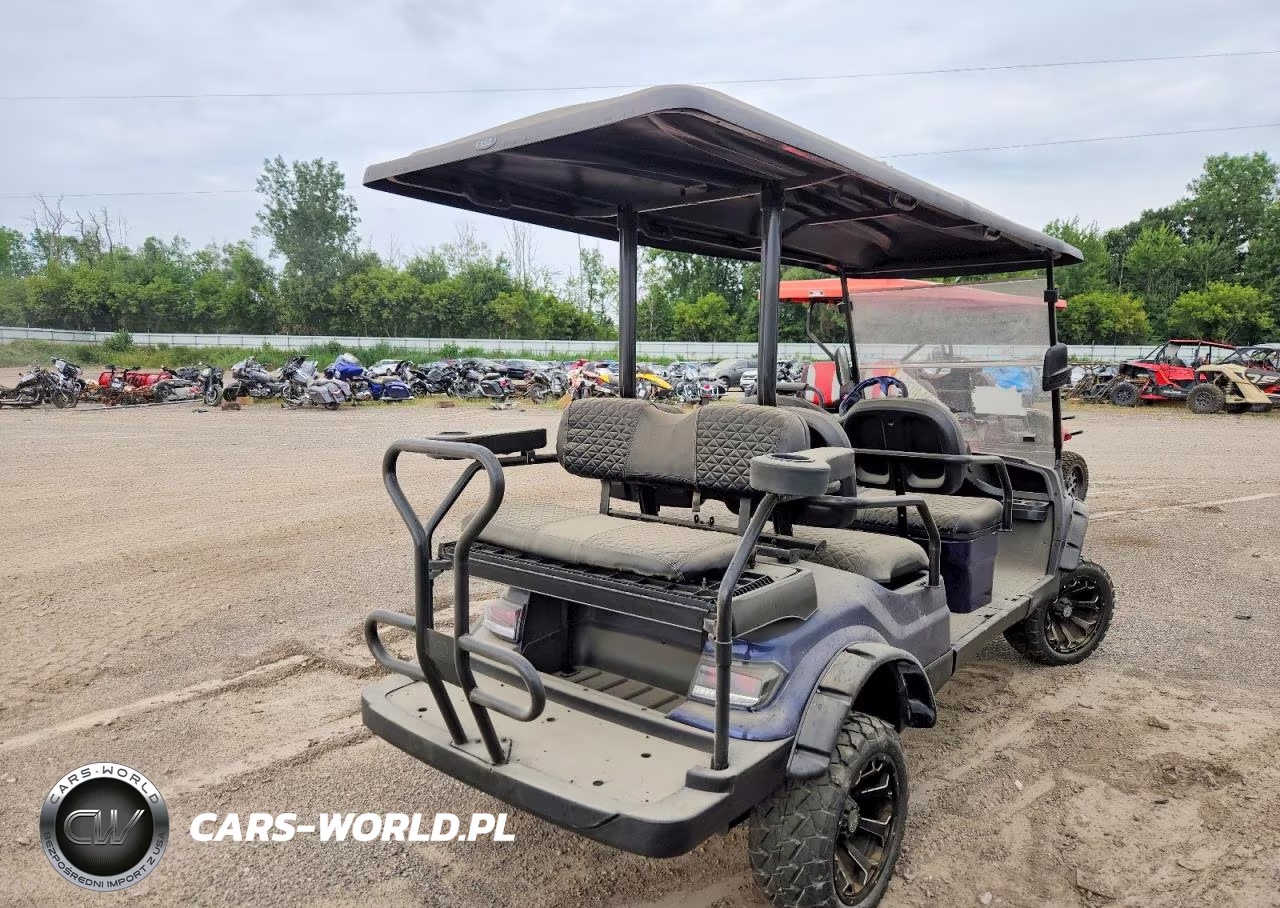 2018 Golf Cart Golf Cart VIN:LTA0022725 - 4