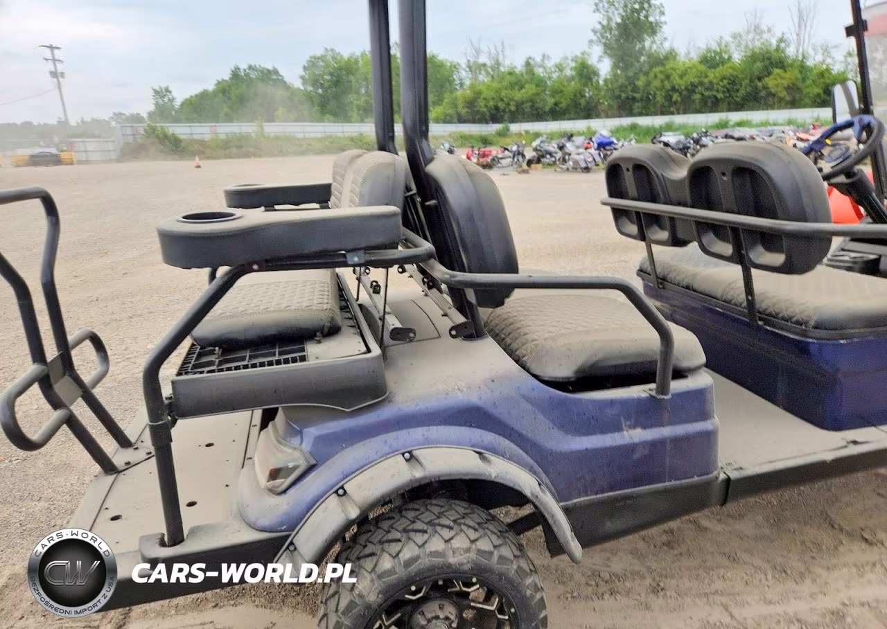 2018 Golf Cart Golf Cart VIN:LTA0022725 - 6