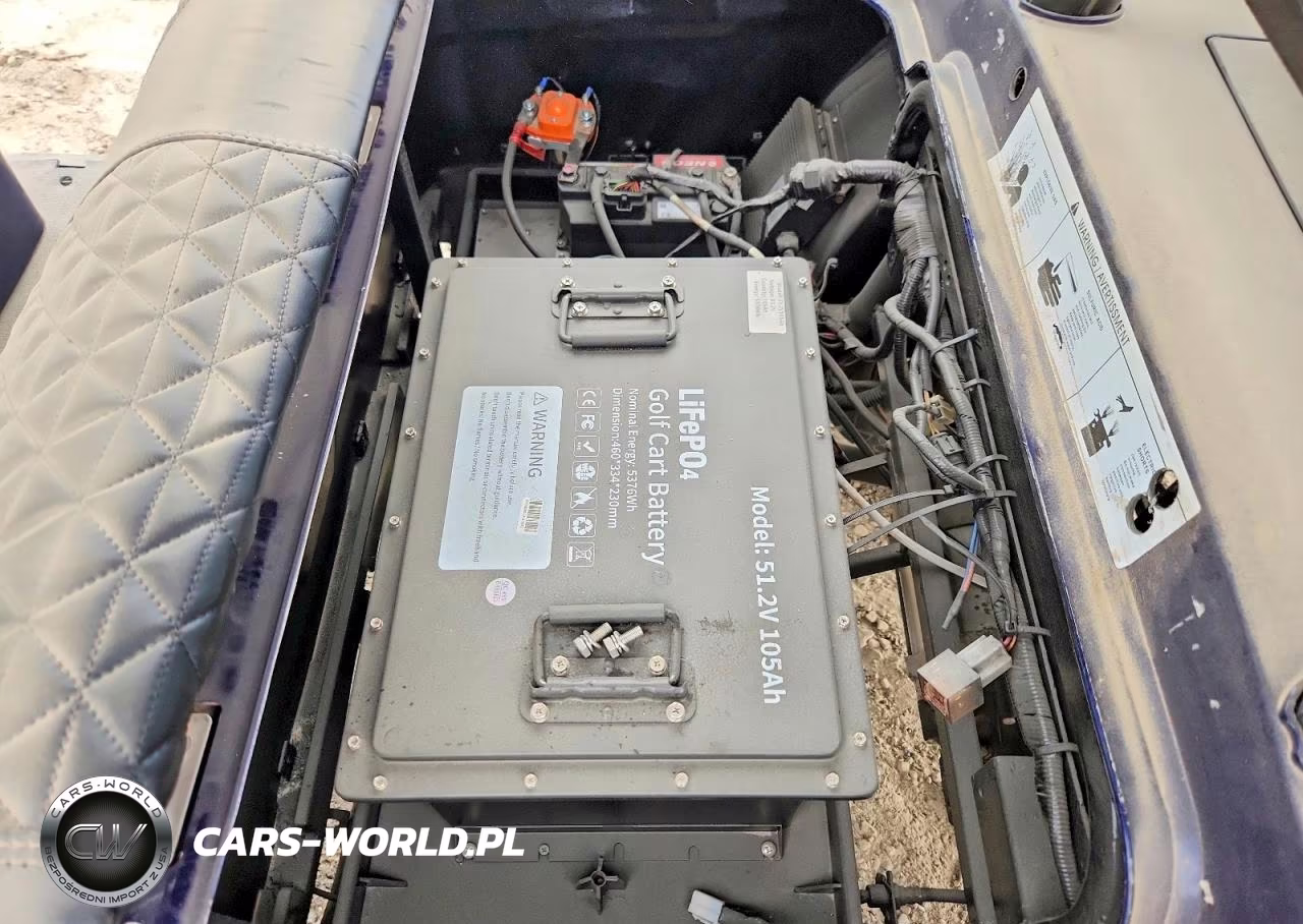 2018 Golf Cart Golf Cart VIN:LTA0022725 - 7