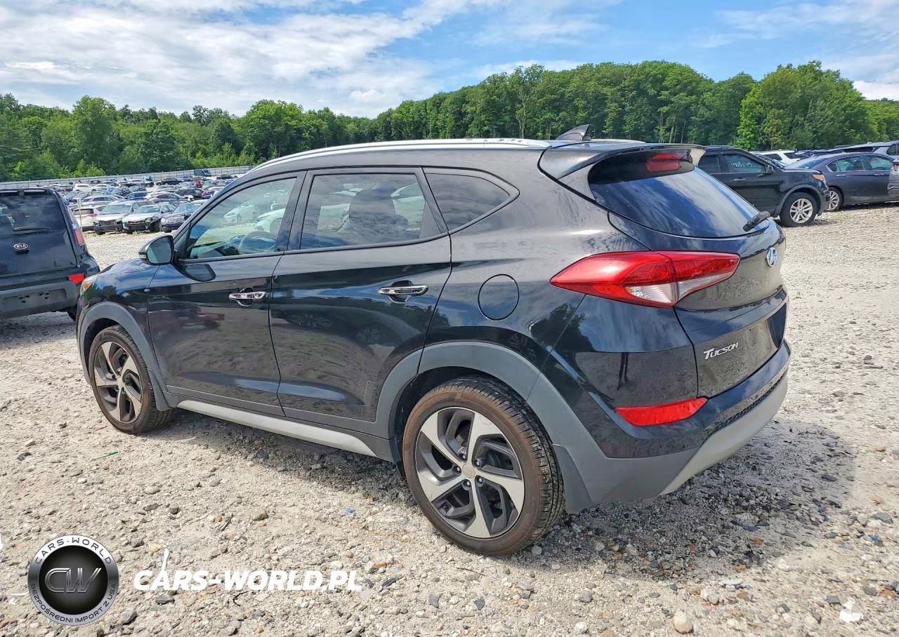 2018 Hyundai Tucson Limited VIN:KM8J3CA20JU680209 - 2