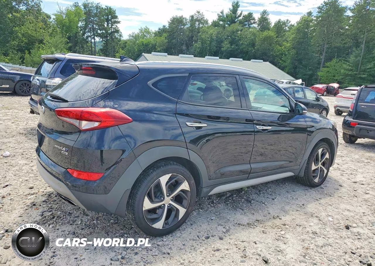 2018 Hyundai Tucson Limited VIN:KM8J3CA20JU680209 - 3