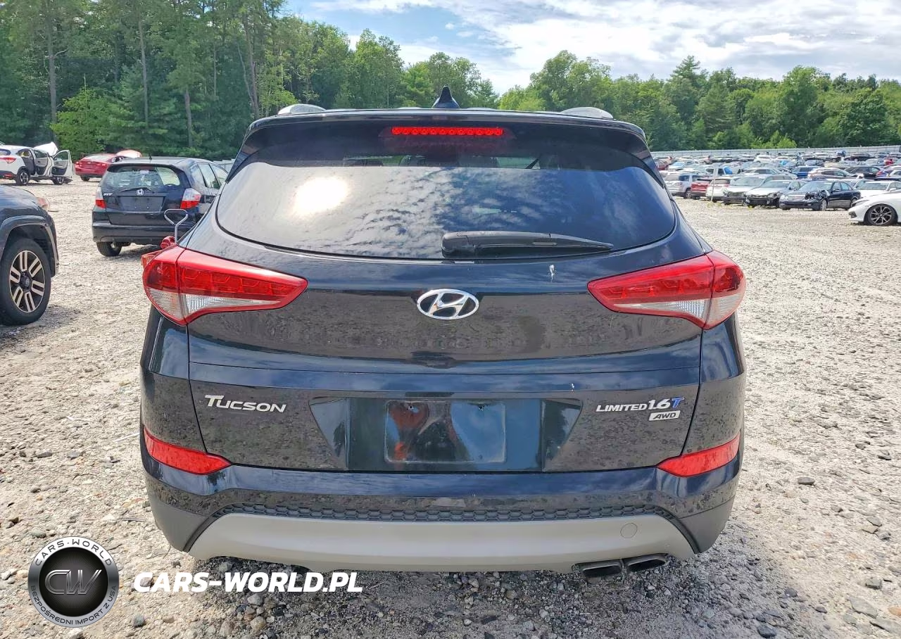 2018 Hyundai Tucson Limited VIN:KM8J3CA20JU680209 - 6