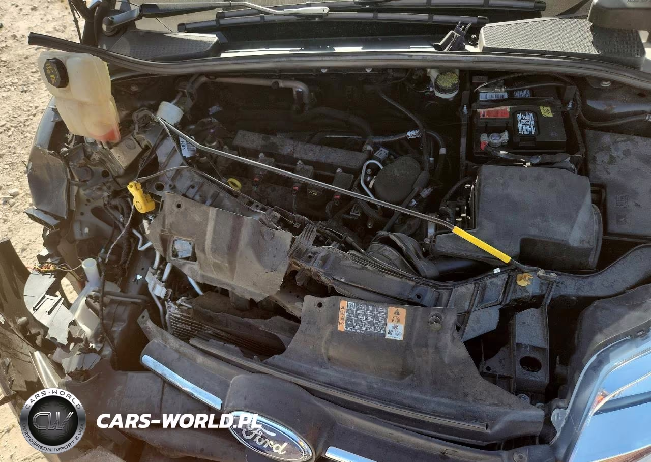 2014 Ford Focus Se VIN:1FADP3F2XEL412929 - 11