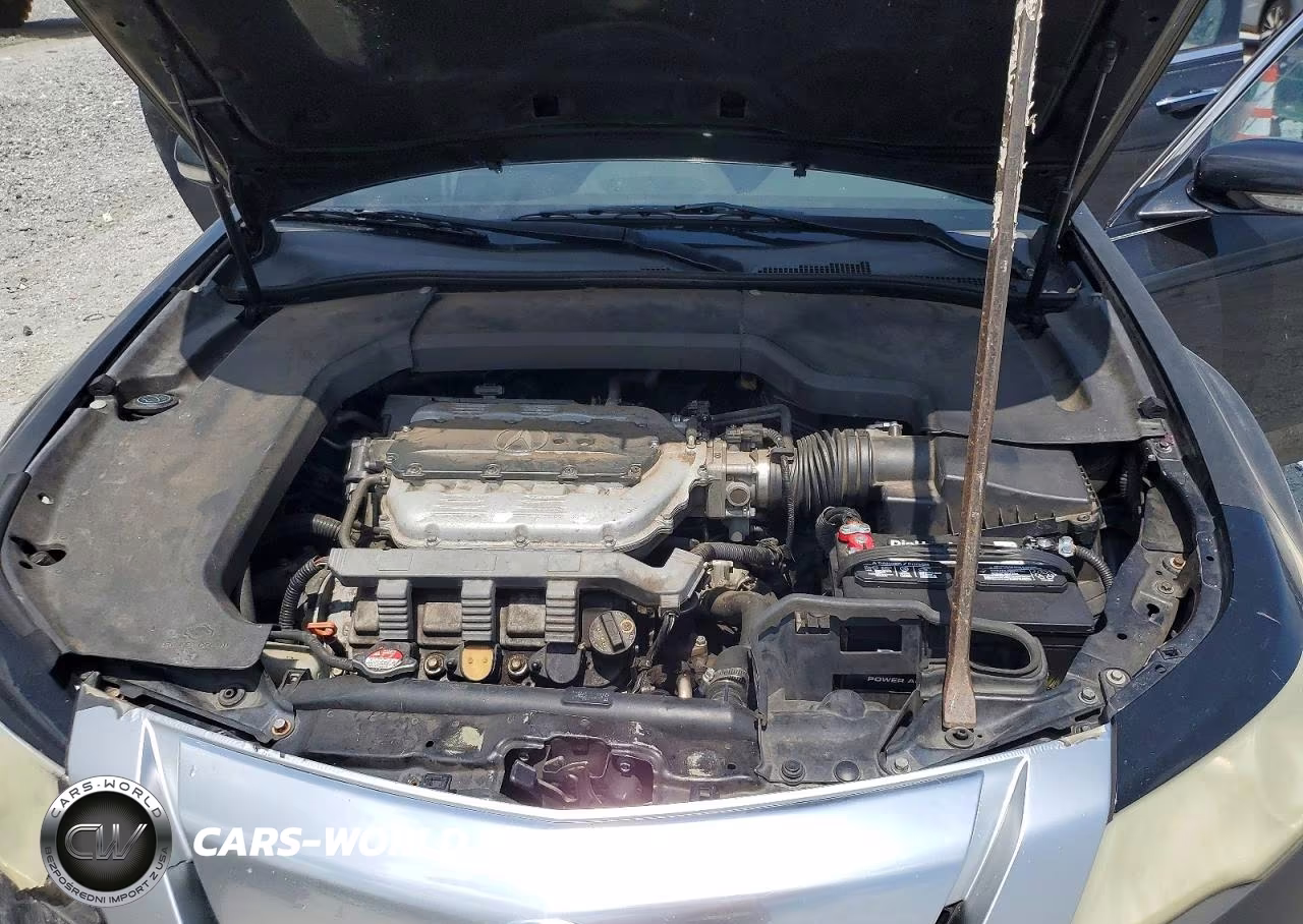 2009 Acura Tl VIN:19UUA86599A015279 - 11