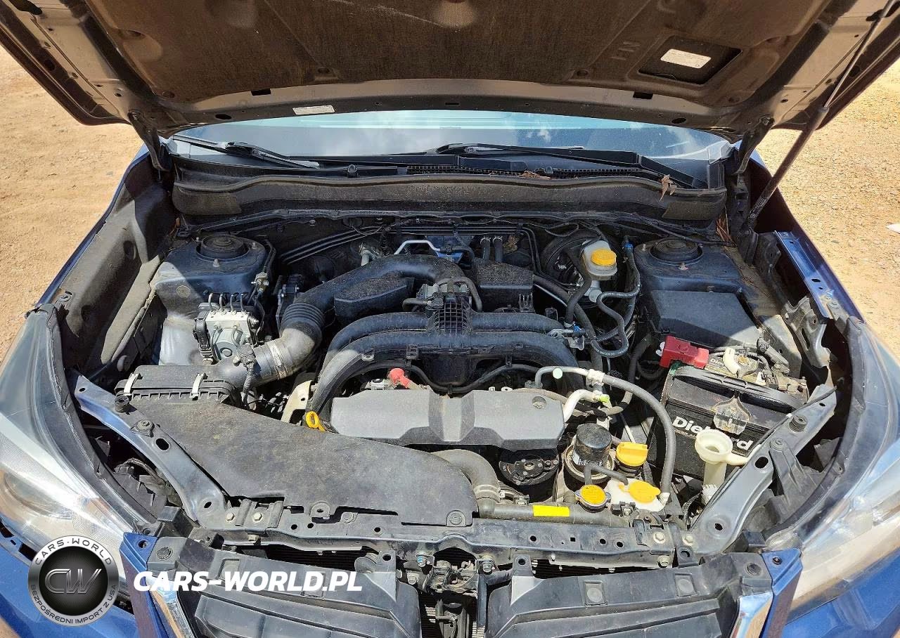 2017 Subaru Forester 2.5I VIN:JF2SJABC8HH465613 - 12