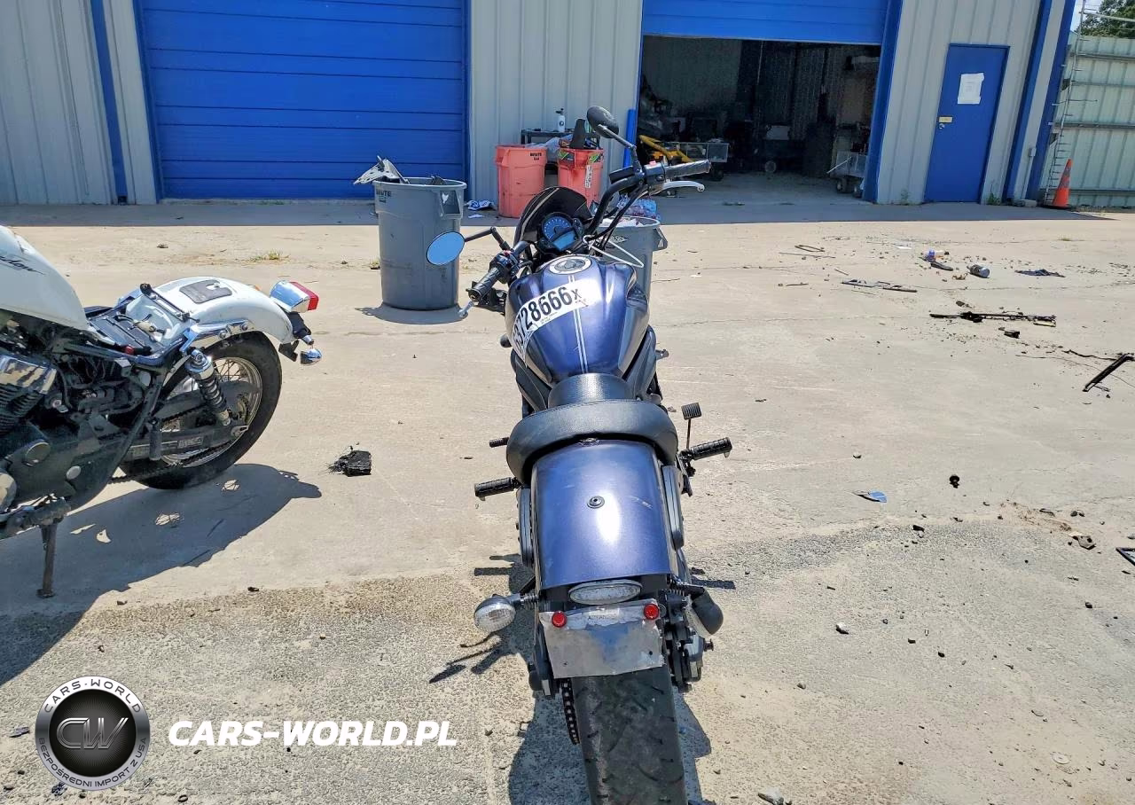 2020 Kawasaki En650 D VIN:JKAENED11LDA23840 - 4