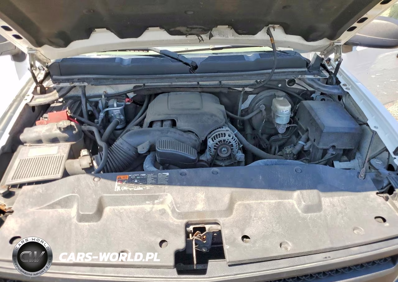 2011 Chevrolet Silverado C1500 VIN:1GCNCPEA3BZ465748 - 11