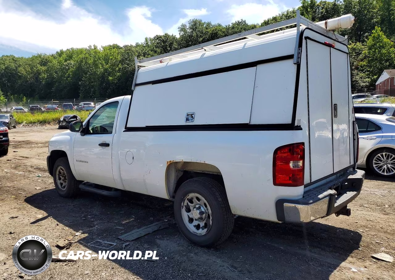 2011 Chevrolet Silverado C1500 VIN:1GCNCPEA3BZ465748 - 2