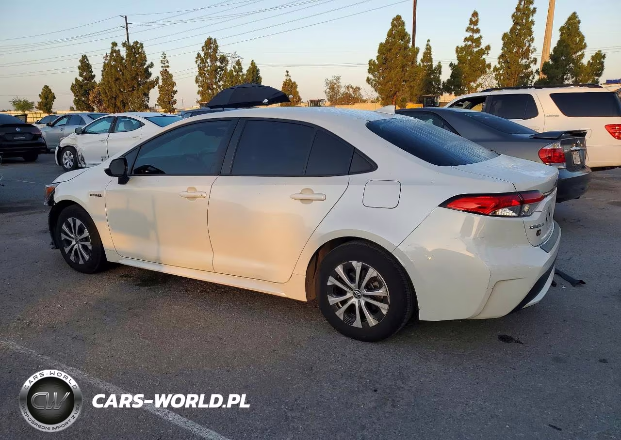 2021 Toyota Corolla Le VIN:JTDEAMDE7MJ009536 - 2