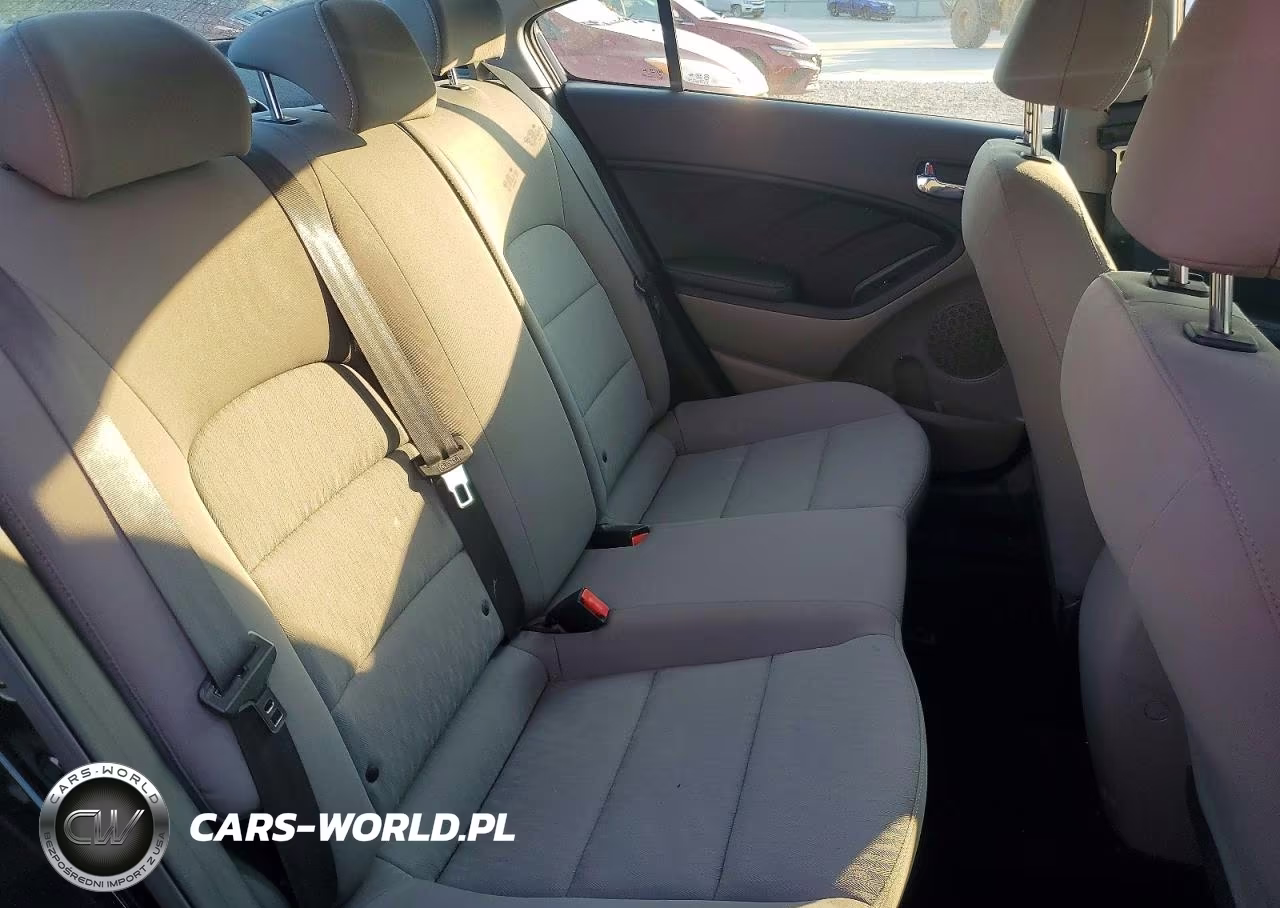 2016 Kia Forte Lx VIN:KNAFK4A62G5542371 - 10