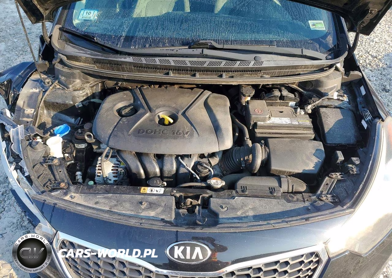 2016 Kia Forte Lx VIN:KNAFK4A62G5542371 - 11