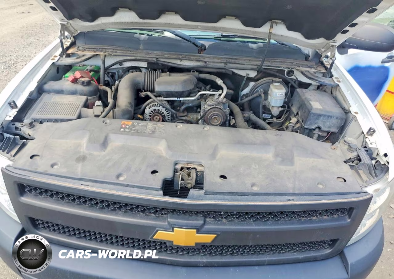 2012 Chevrolet Silverado C1500 VIN:1GCNCPEX4CZ229339 - 11