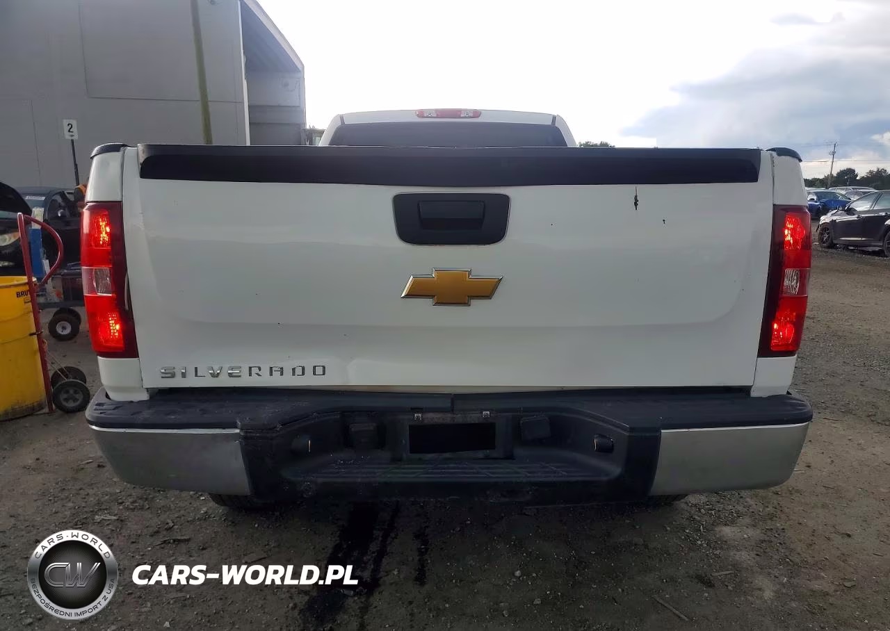 2012 Chevrolet Silverado C1500 VIN:1GCNCPEX4CZ229339 - 6
