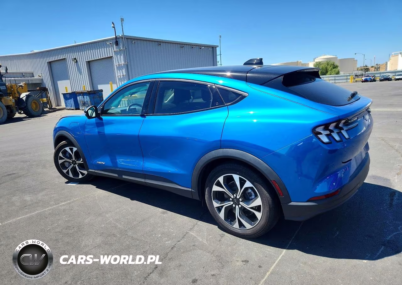 2025 Ford Mustang Mach-E Select VIN:3FMTK1R42SMA42409 - 2
