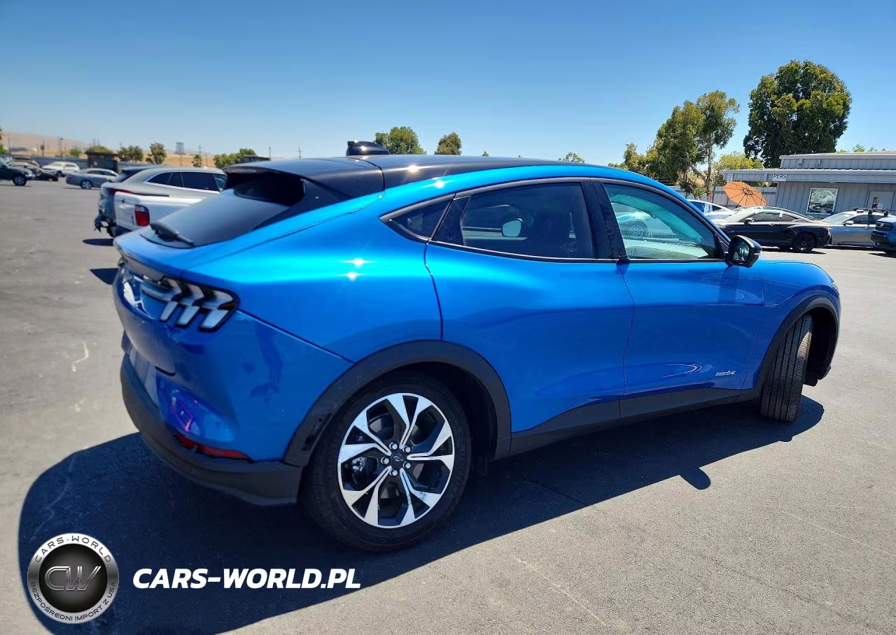 2025 Ford Mustang Mach-E Select VIN:3FMTK1R42SMA42409 - 3