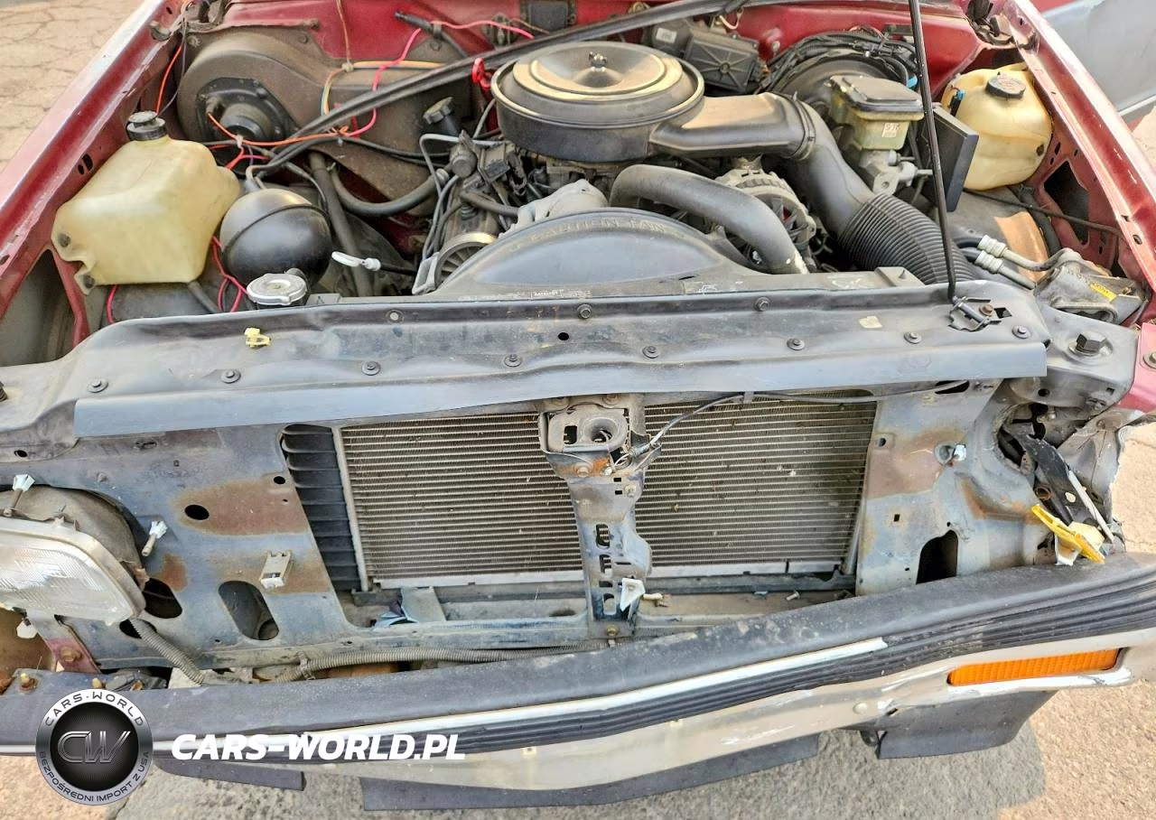 1992 Chevrolet S Truck S10 VIN:1GCCT14Z9N8210270 - 11