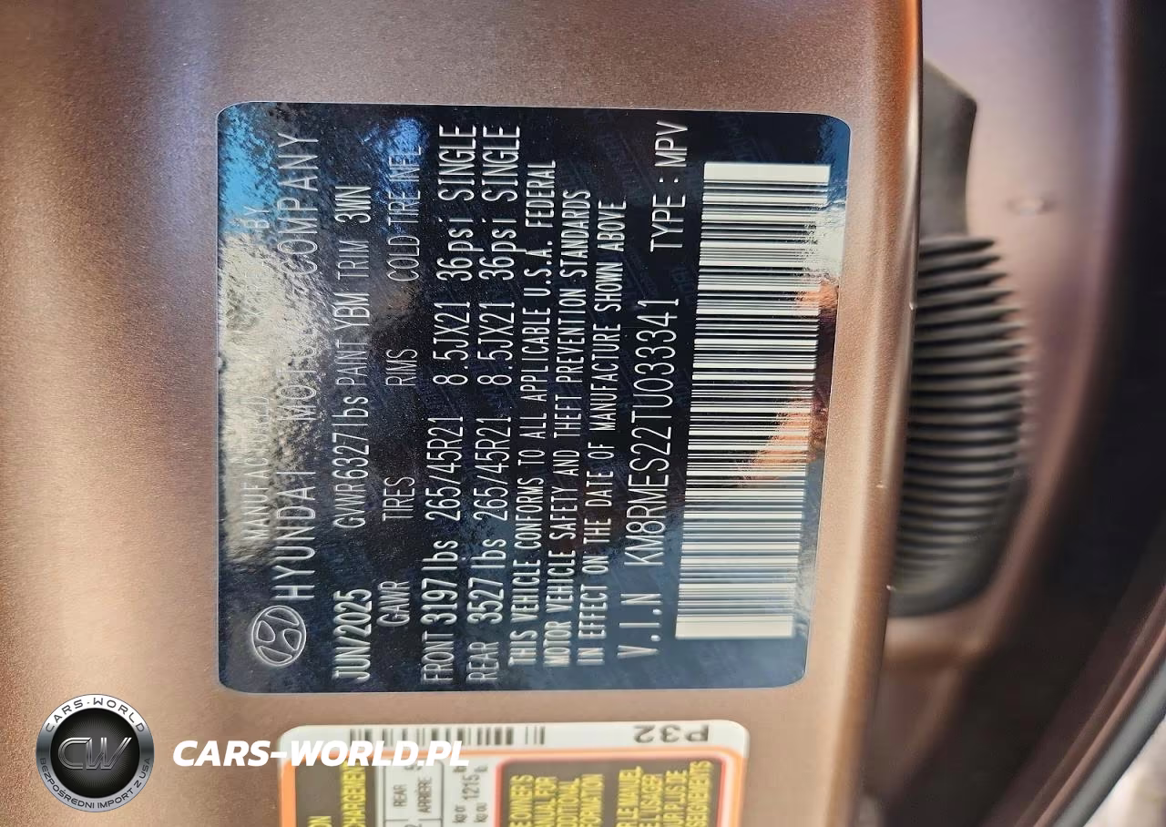 2026 Hyundai Palisade Calligraphy VIN:KM8RMES22TU033341 - 13