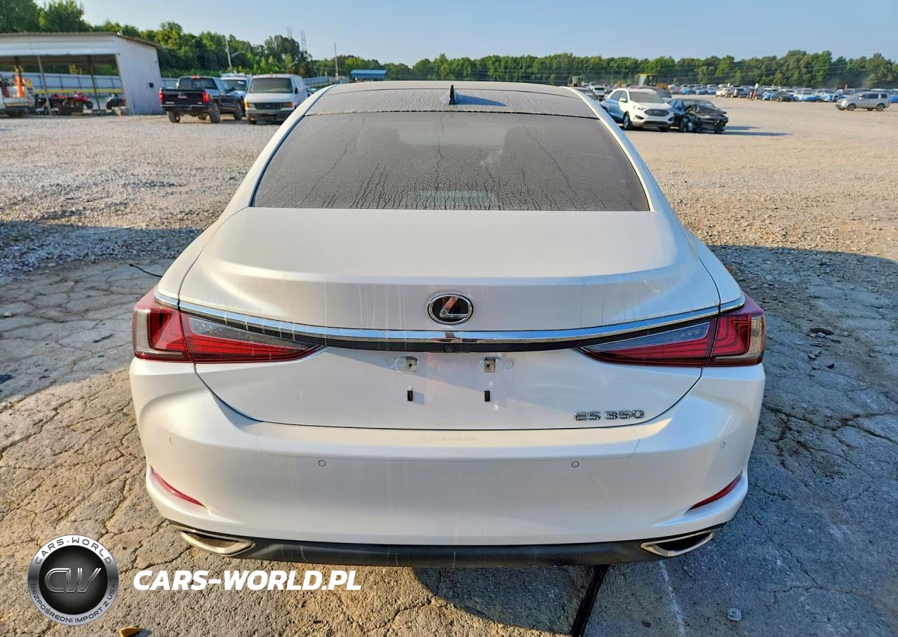 2023 Lexus Es 350 Base VIN:58ADZ1B1XPU143435 - 6