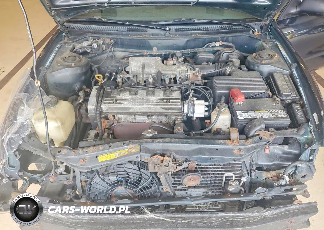 1996 Toyota Corolla Base VIN:2T1BA02E6TC156813 - 11