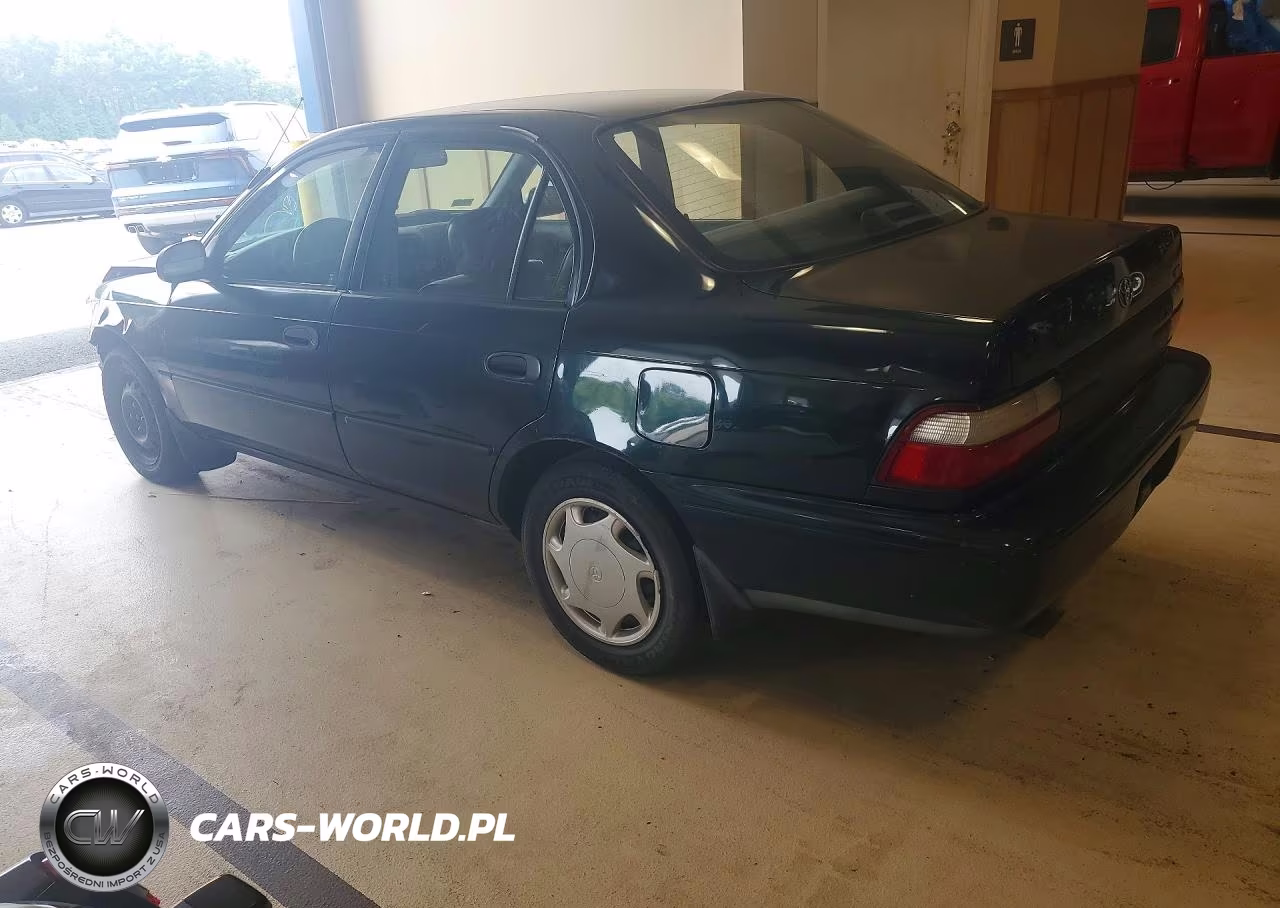 1996 Toyota Corolla Base VIN:2T1BA02E6TC156813 - 2
