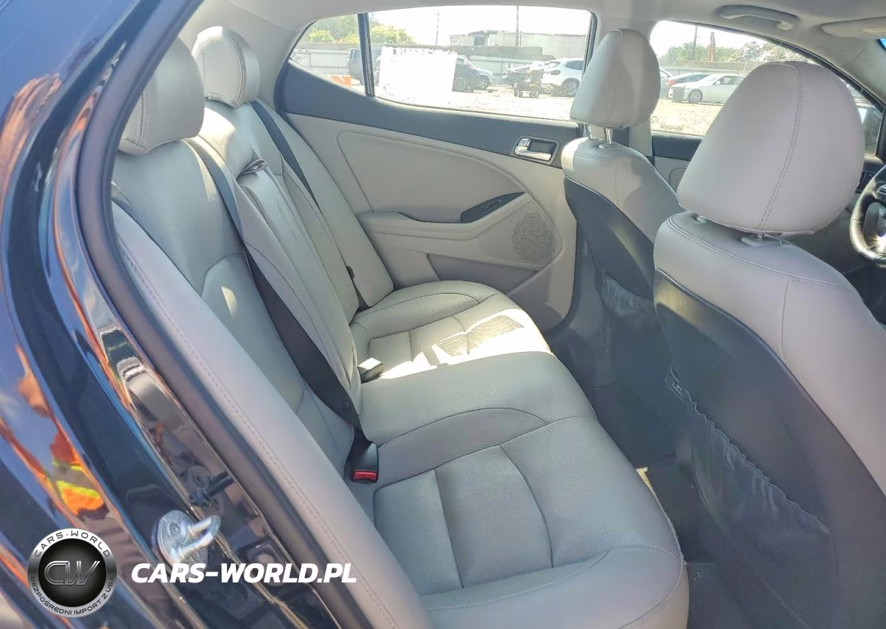 2015 Kia Optima Ex VIN:5XXGN4A76FG463481 - 10