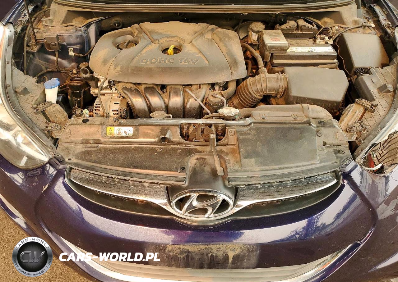 2013 Hyundai Elantra Gls VIN:5NPDH4AE2DH440709 - 10