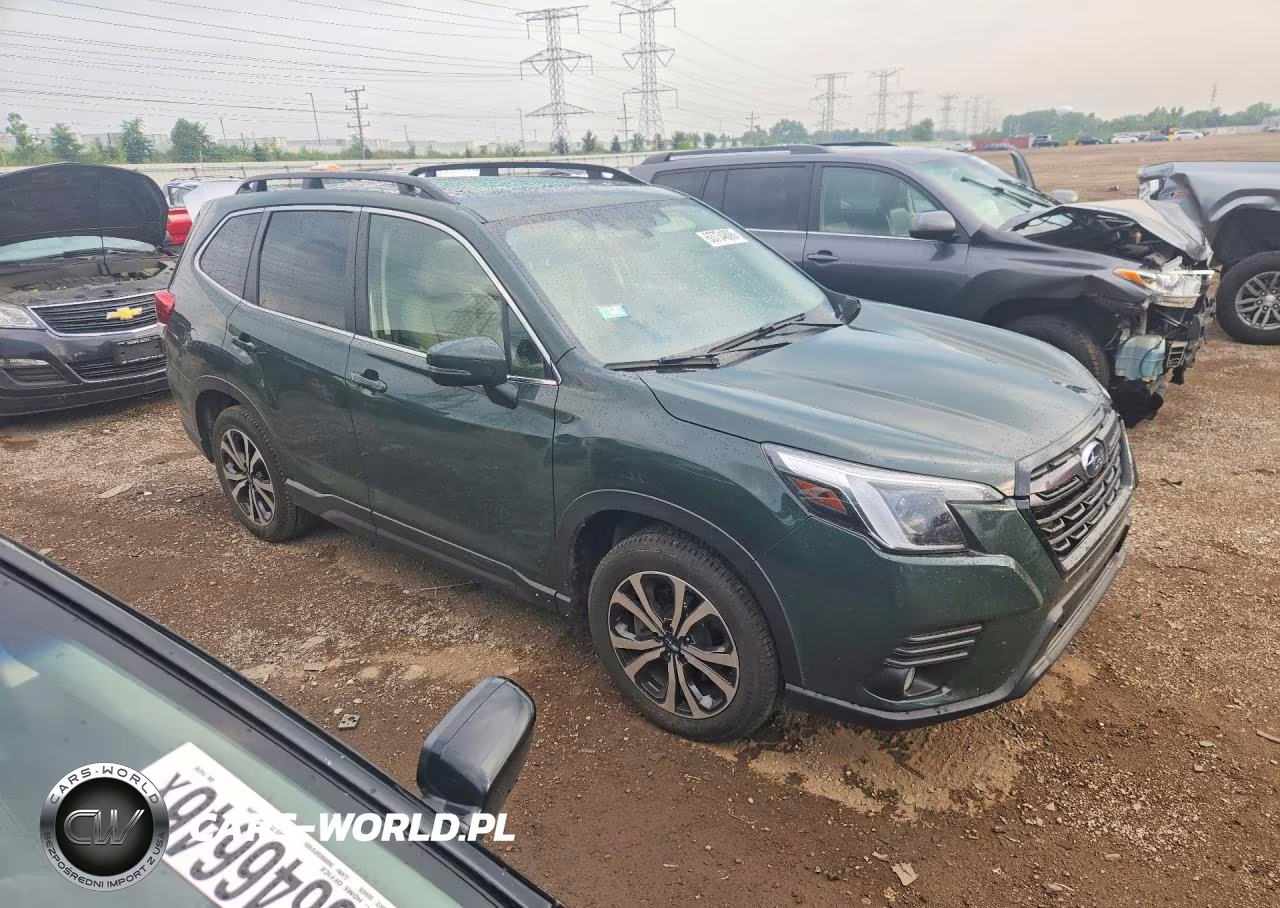 2022 Subaru Forester Limited VIN:JF2SKANC8NH460268 - 4