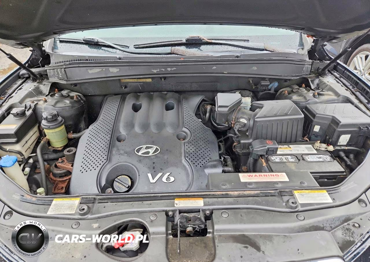 2007 Hyundai Santa Fe Gls VIN:5NMSG13D67H084036 - 12