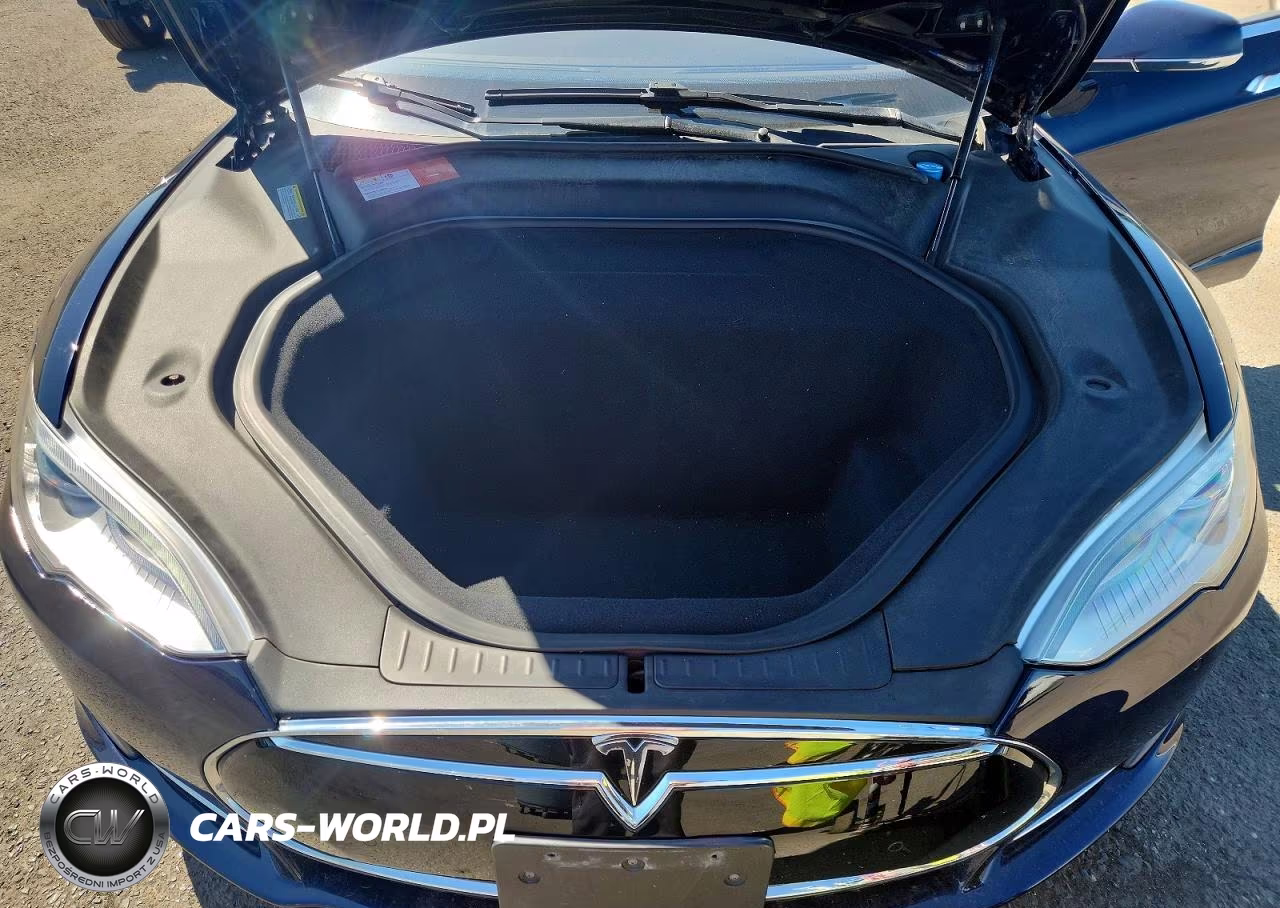 2015 Tesla Model S 85D VIN:5YJSA1H21FFP70204 - 11