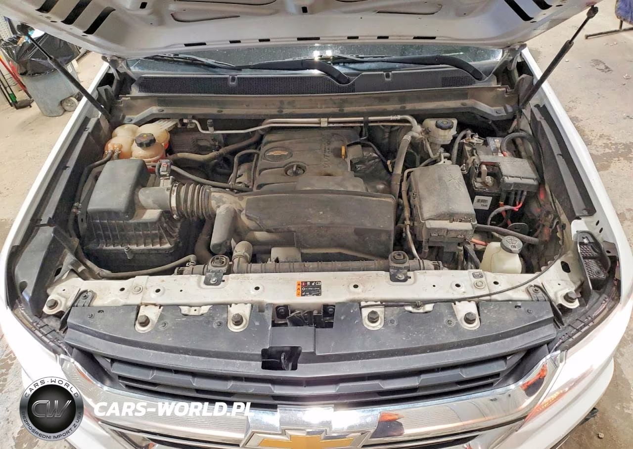 2019 Chevrolet Colorado VIN:1GCHSBEA6K1154462 - 11